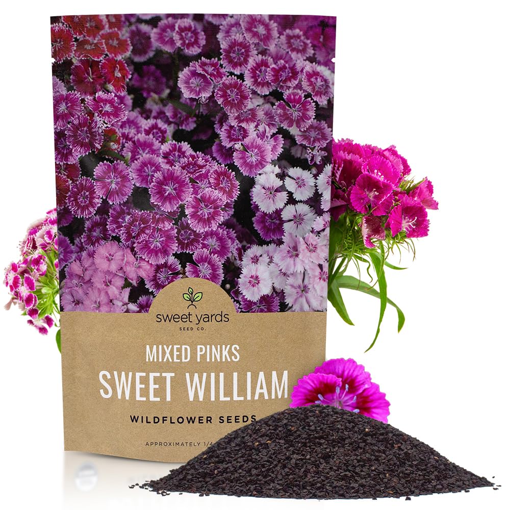Sweet Yards Sweet William pink mix blooms brighten borders.