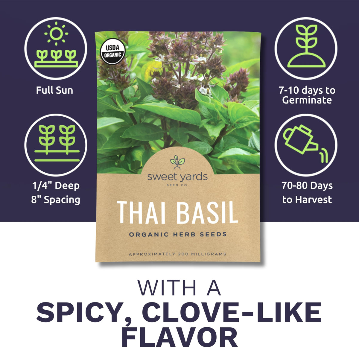 Sweet Yards Thai Basil seeds close-up on leaves, aromatic potential.