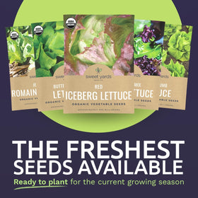 Sweet Yards Tom Thumb seed pack ideal for small spaces