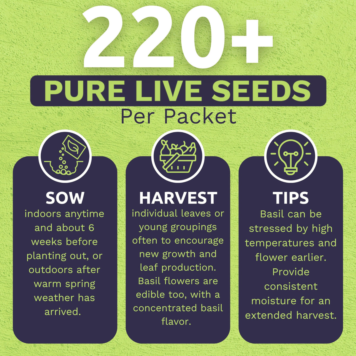 Sweet Yards two-packet back with planting instructions included.
