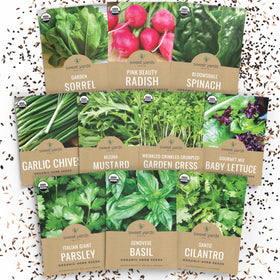 Sweet Yards window sill seeds cover showing compact indoor gardening setup for fresh herbs