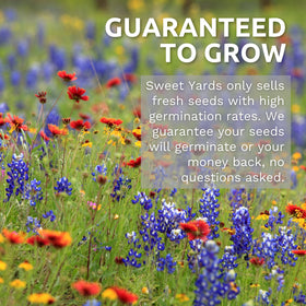 Sweet Yards Zinnia Dahlia Mix premium packaging with storage and planting instructions