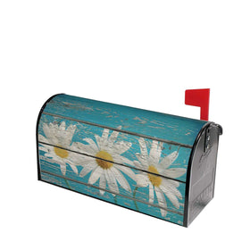 Sweetshow daisy teal on teal background enhances garden charm and hospitality