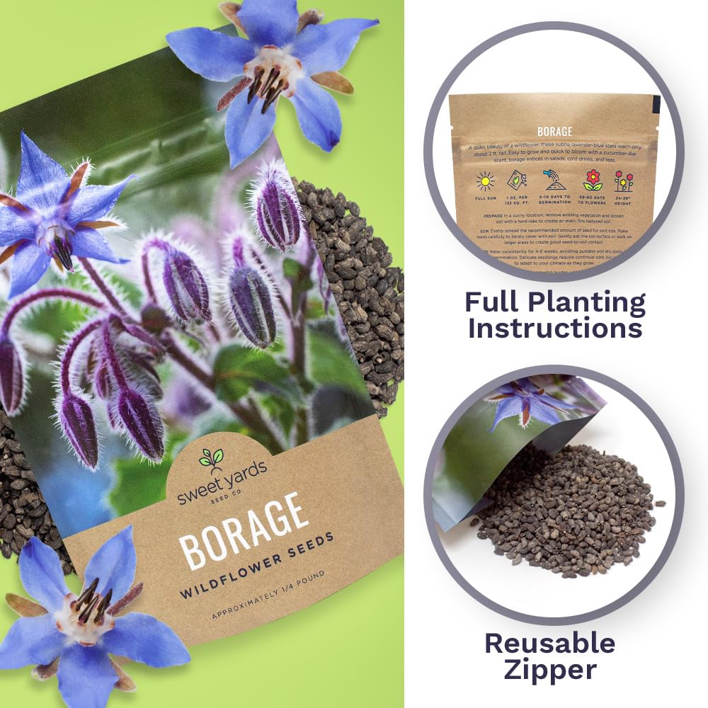 Sweet Yards borago blooms preview highlights blue flowers that attract pollinators.