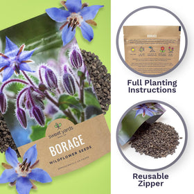 Sweet Yards borago blooms preview highlights blue flowers that attract pollinators.