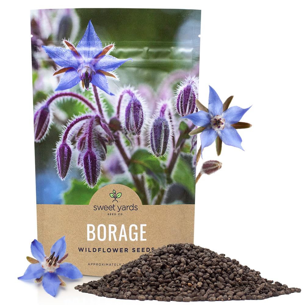 Sweet Yards borago seeds bulk bag ready for planting and planning.