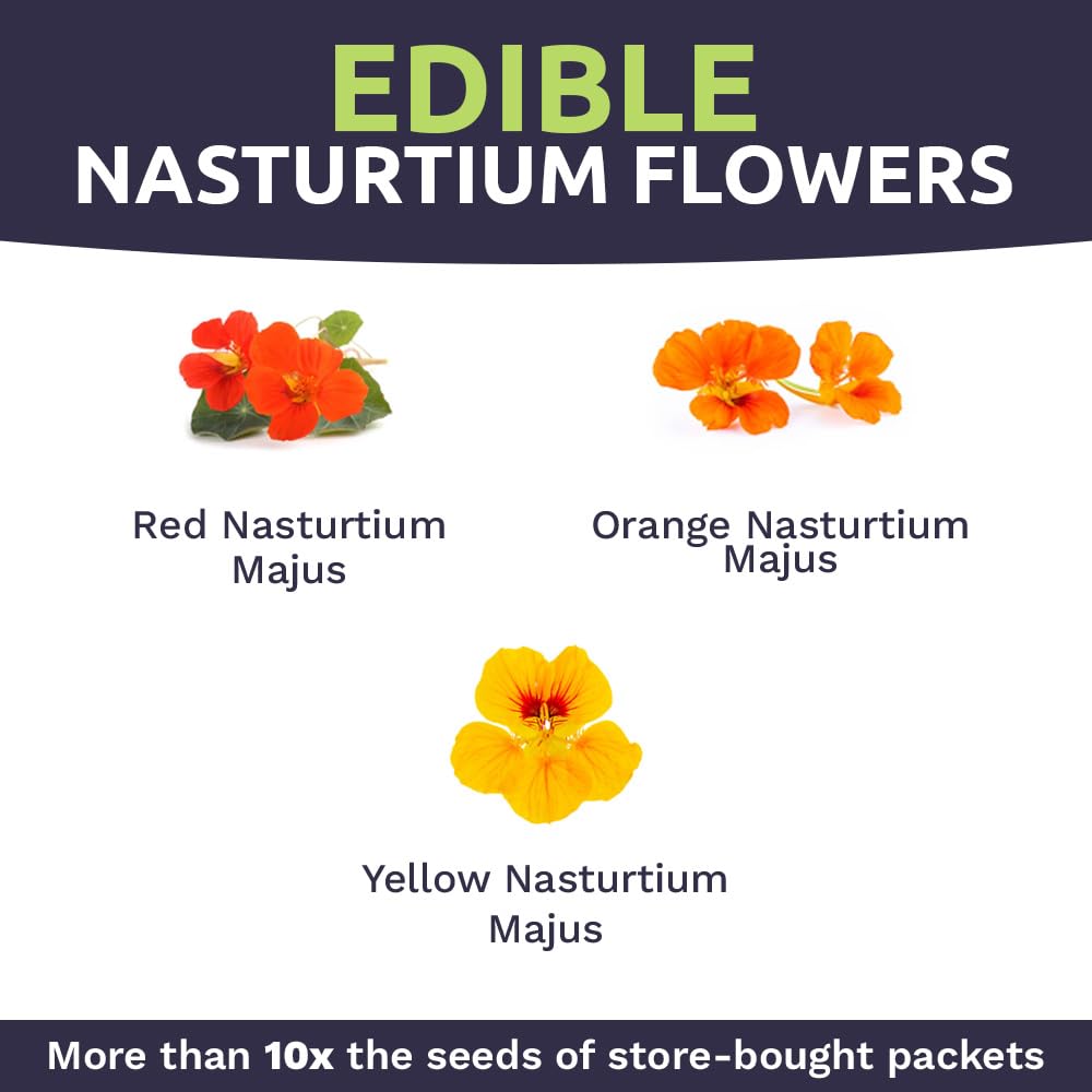Sweet Yards edible nasturtium petals used as colorful garnish.