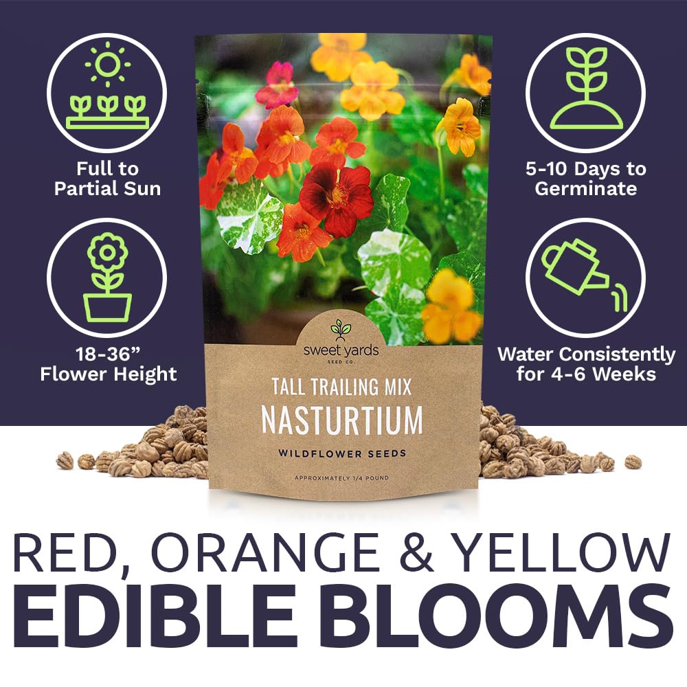 Sweet Yards garden bed ready for vibrant, low-growing nasturtium accents.