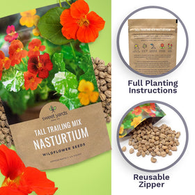 Sweet Yards seeds in packets ideal for sharing or gifting.