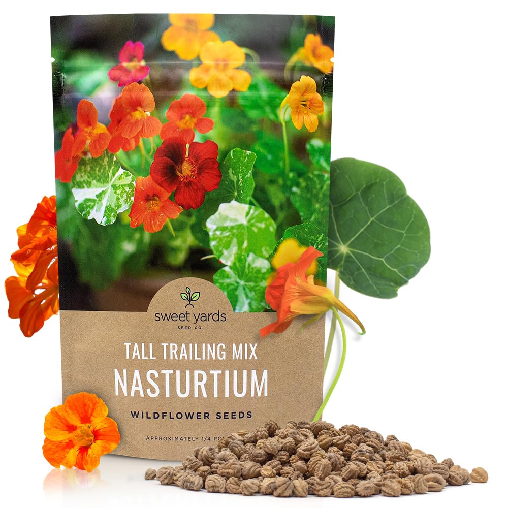 Sweet Yards Nasturtium seeds mixed colors bulk bag for easy sowing and vibrant borders.