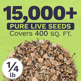 Sweet Yards open-pollinated seeds, 30k count, for vibrant color and soil coverage.