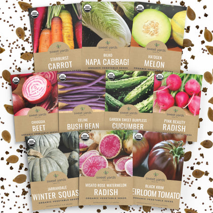 Sweet Yards Chioggia Beet seeds for colorful roots—great for salads and roasting