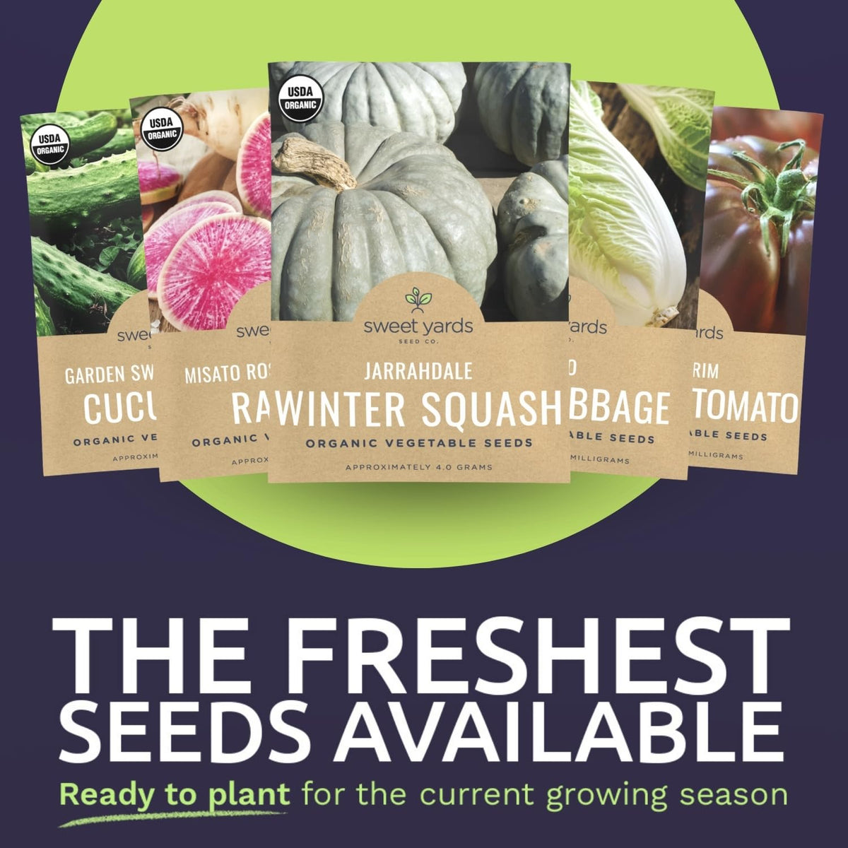 Sweet Yards Garden Sweet Burpless Cucumber seeds for crunchy, refreshing cucumbers