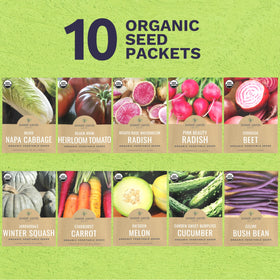 Sweet Yards Starburst Carrot seeds for crisp, vibrant roots and fresh snacking
