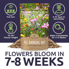 Sweet Yards pollinator-friendly seeds attract bees and butterflies in gardens.