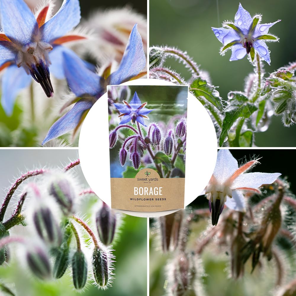 Sweet Yards reliable germination with 5,000 seeds in a bulk bag.
