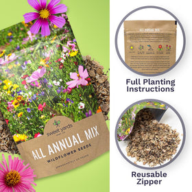 Sweet Yards wildflower mix creates color for borders and low-maintenance beds.