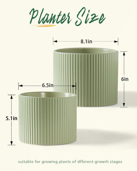 Swicken 6-inch ceramic pot ideal for compact plants.