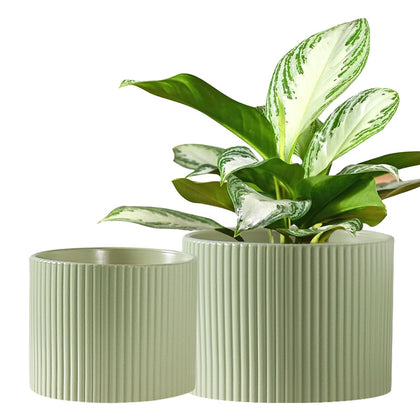 Swicken 8-inch ceramic pot with drainage for healthy root airflow.