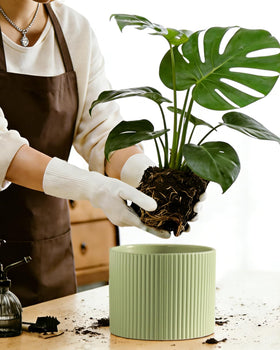Swicken indoor outdoor ceramic pots for versatile placement.