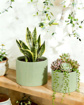 Swicken striped design ceramic pot adds modern style.
