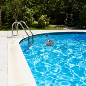 Swimline HydroTools 87271 cost-effective solution to maintain water quality between refills.