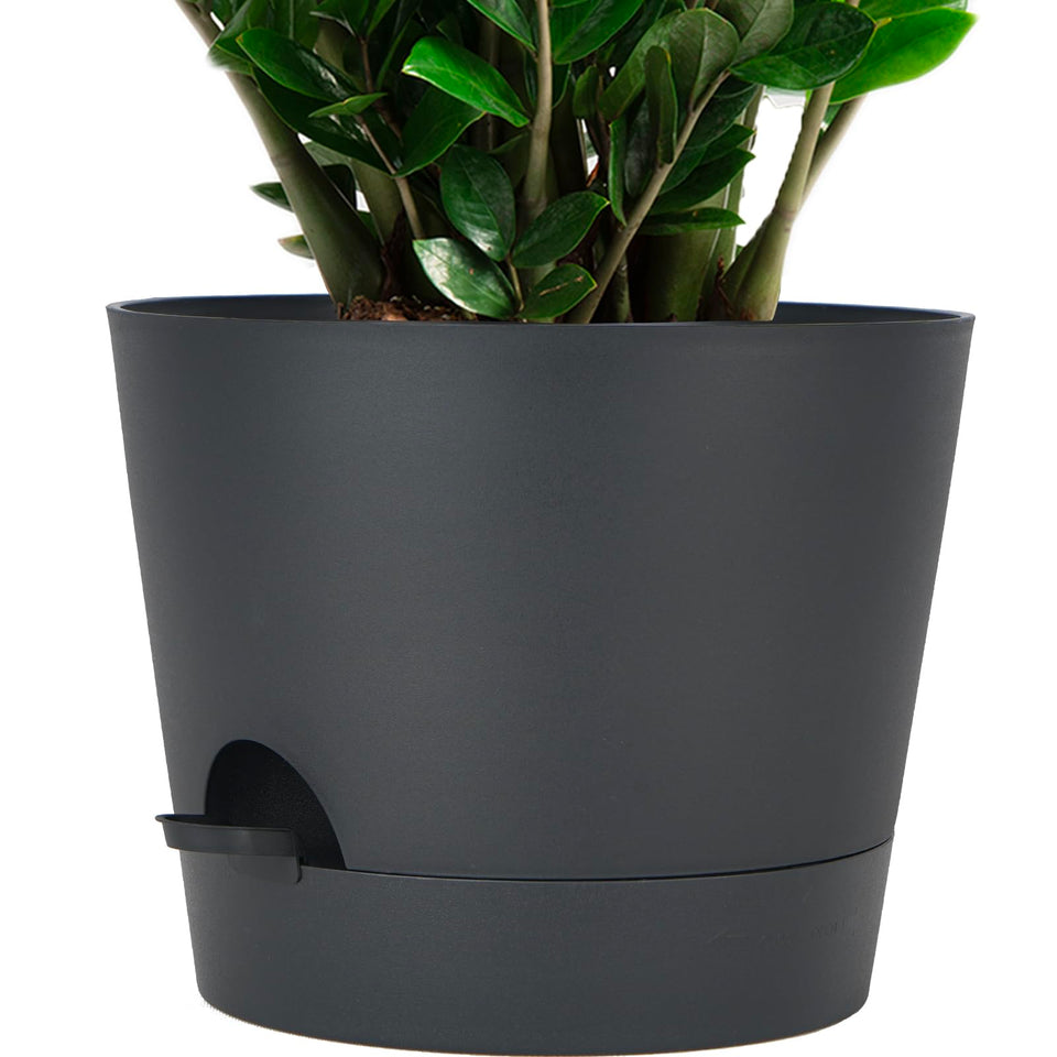 SwinDuck 12inch self-watering pot with deep reservoir for steady watering