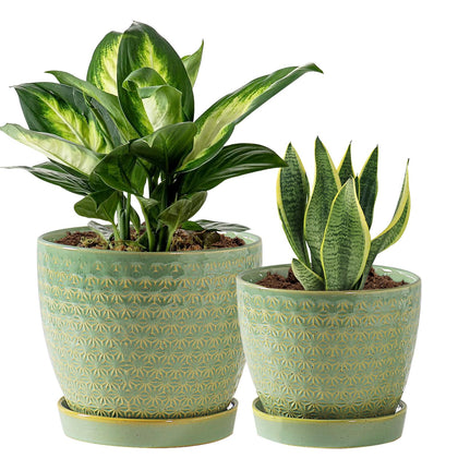 Swicken sage-green planter with crackle glaze for stylish 6-7 inch indoor display