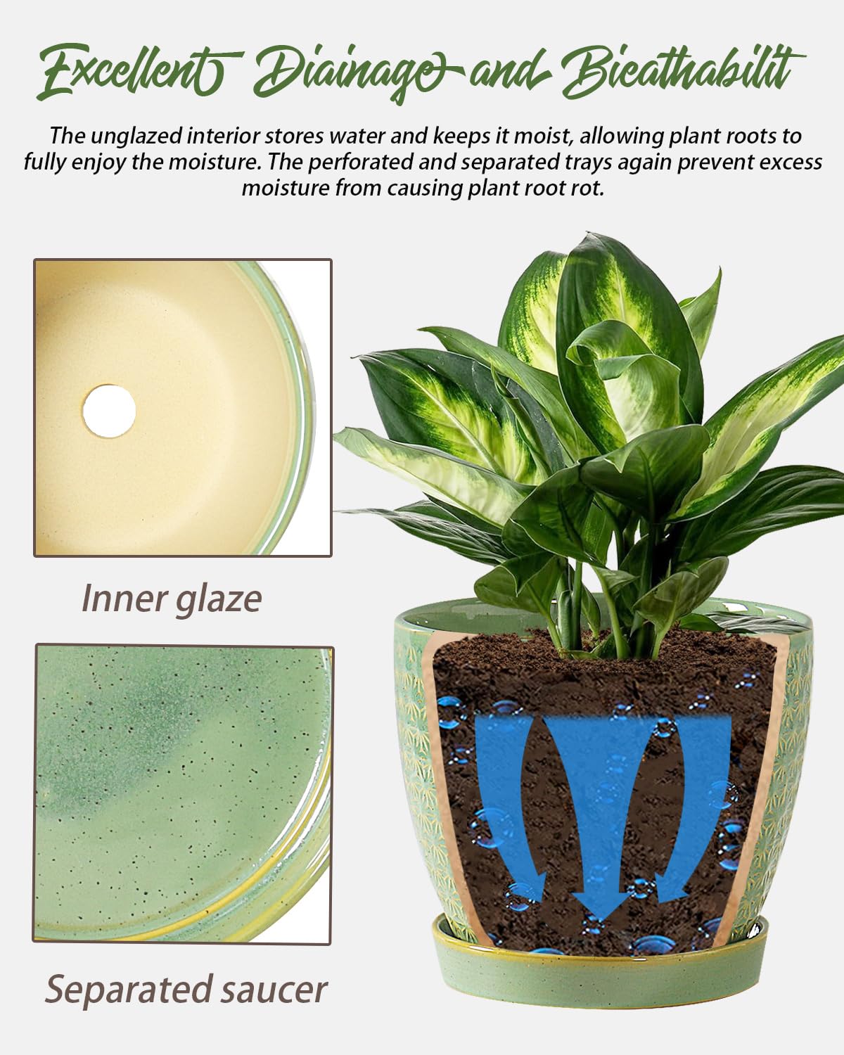 Swicken sage-green planter showing drainage hole and saucer for mess-free watering