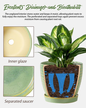 Swicken sage-green planter showing drainage hole and saucer for mess-free watering
