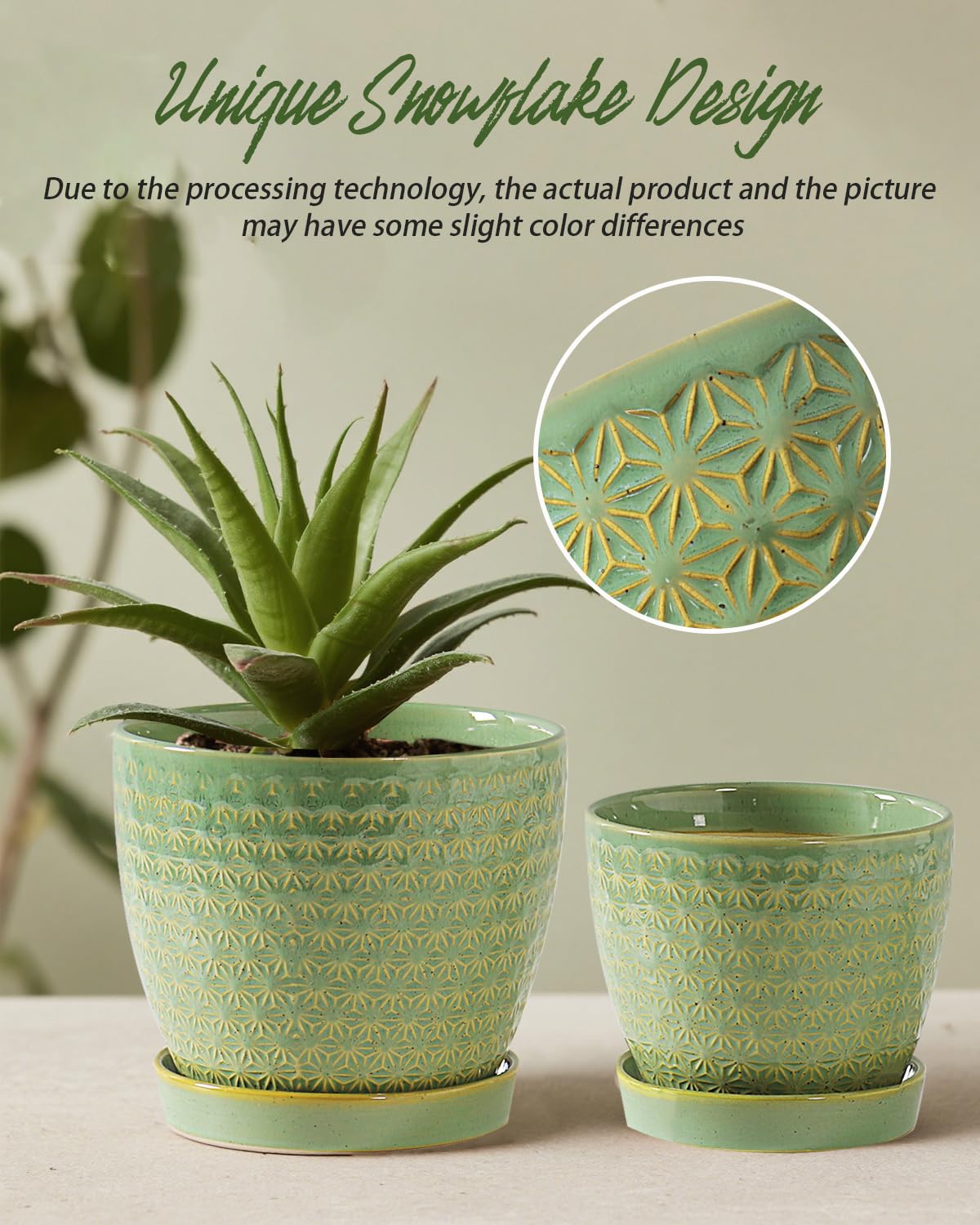 Swicken sage-green planter with hole mesh pad for balanced moisture control