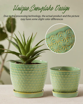 Swicken sage-green planter with hole mesh pad for balanced moisture control