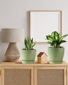 Swicken sage-green small planter 5-5 inch ideal for succulents