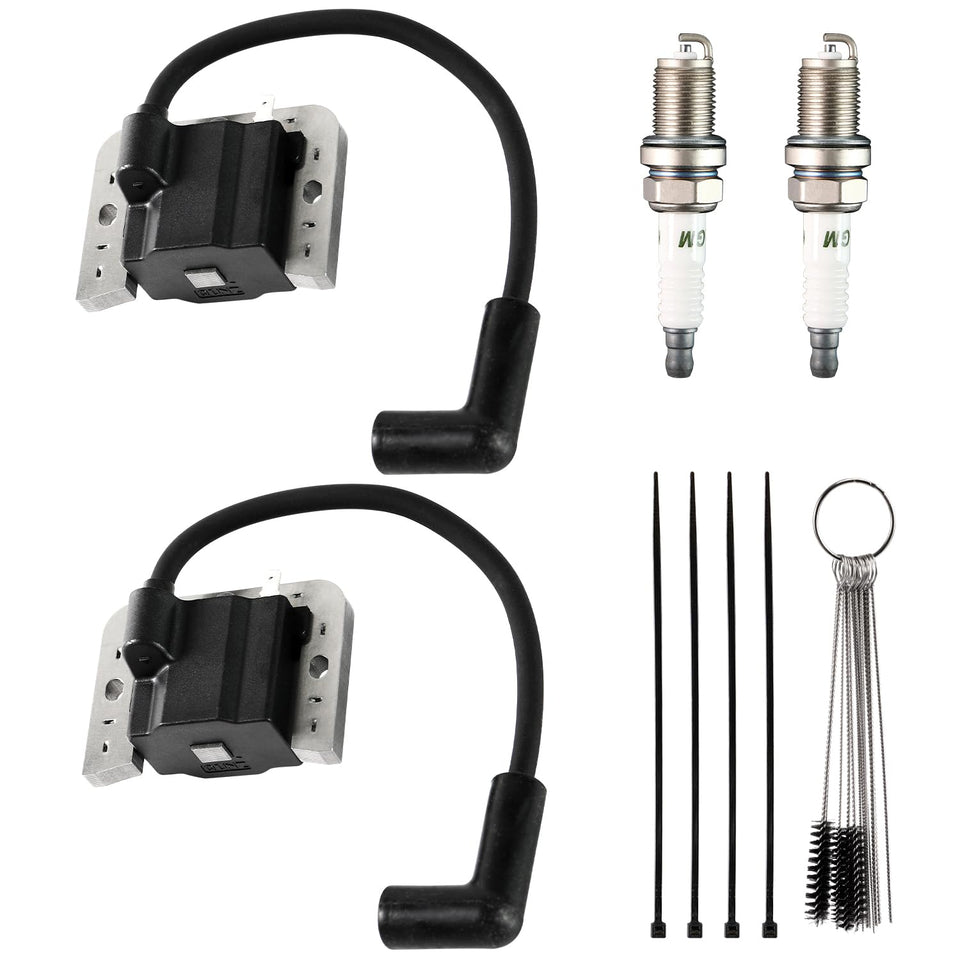 Sworwin ignition coil module for Kohler KT/ZT engines ensures reliable ignition.