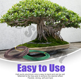 Swpeet bonsai wire 2.0mm green for solid support.
