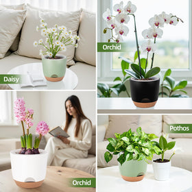Sxueg 5-8 inch planter size fits small to medium plants