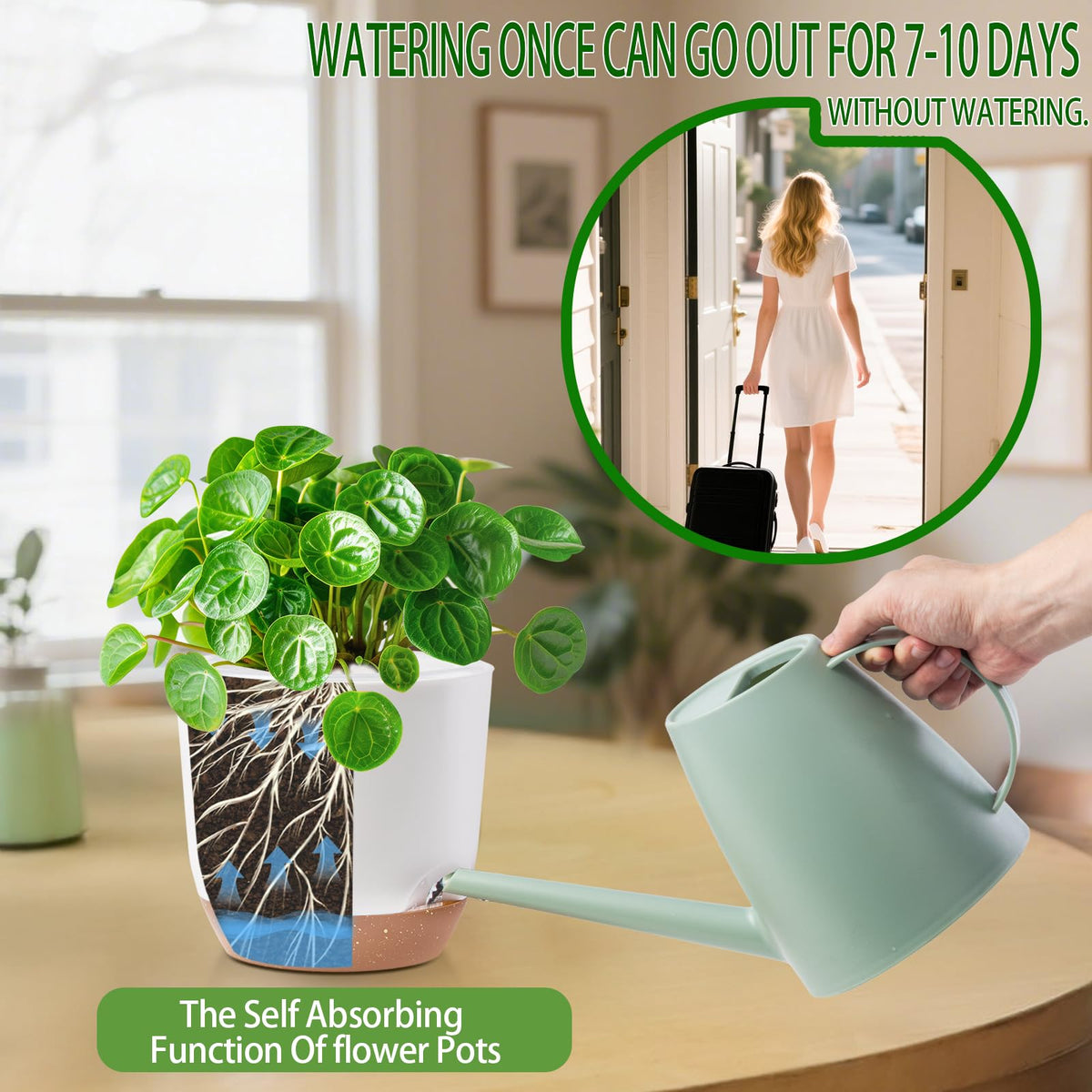 Sxueg detachable saucer with four overflow outlets prevents water buildup.