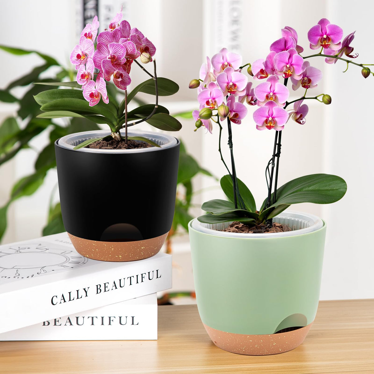 Sxueg detachable saucer provides overflow protection for indoor plants