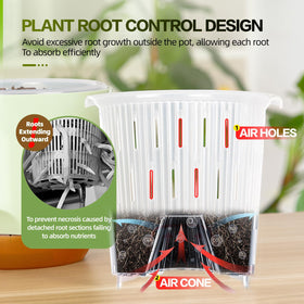 Sxueg elevated-base design prevents waterlogging, aiding healthier plant roots.