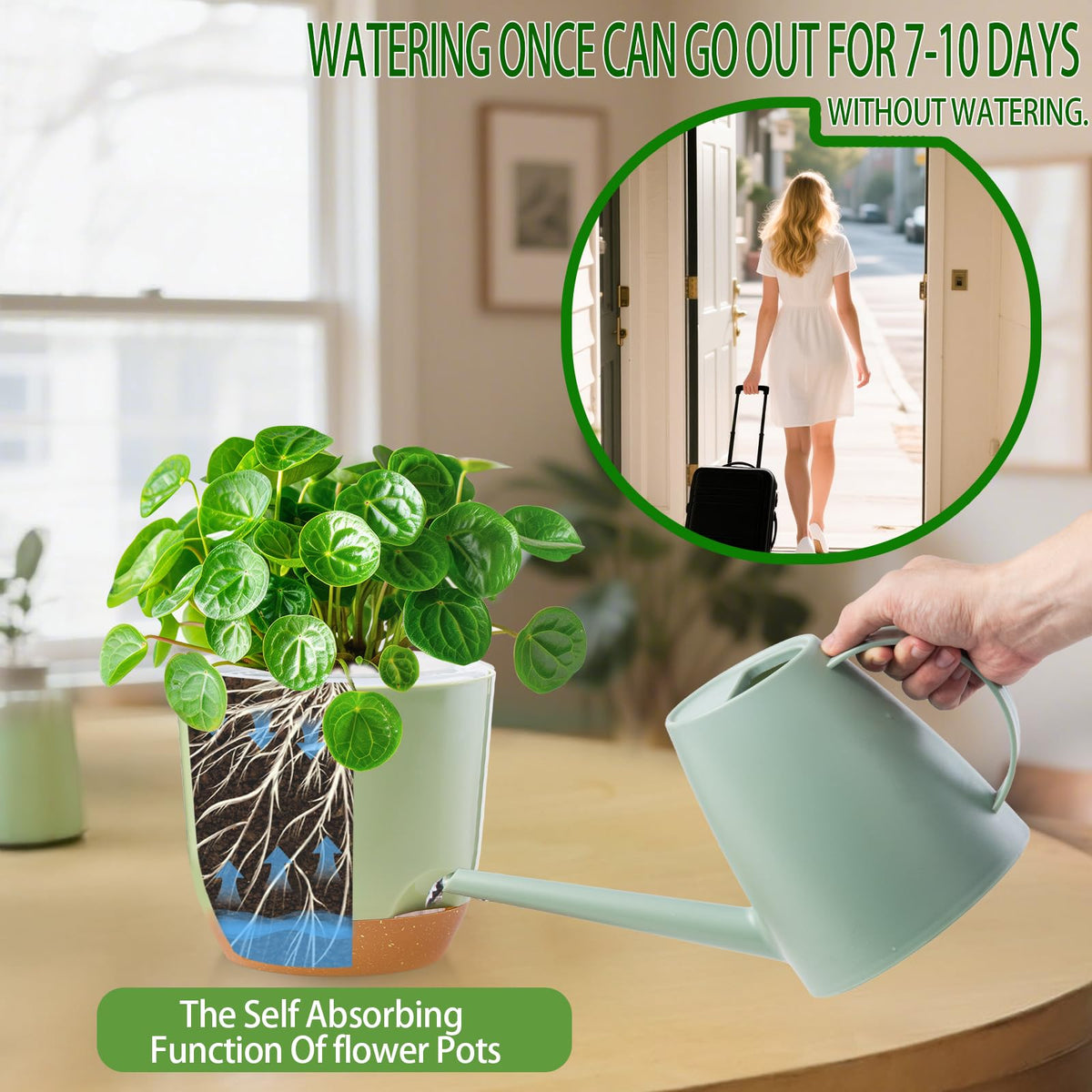 Sxueg green planter blends with modern decor for homes and balconies