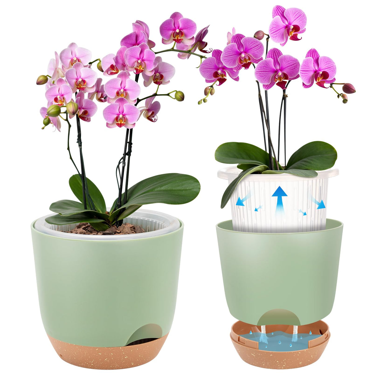 Sxueg self-watering orchid pot with water reservoir for effortless indoor care.
