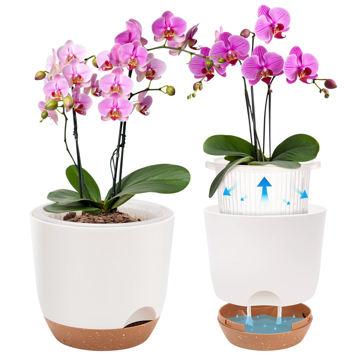 Sxueg self-watering planter 5.8-inch white front view for healthy roots.