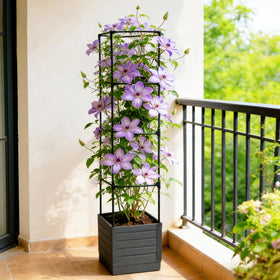 SYITCUN indoor-outdoor climbing plants using a solid trellis system.