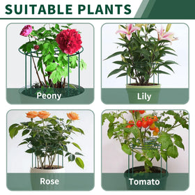 SYITCUN 24-inch cage offers added height for taller varieties and vines.