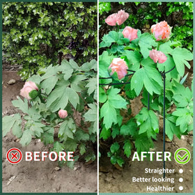 SYITCUN peony cage assembly is simple and quick, even for beginners.