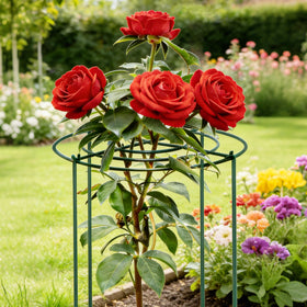 SYITCUN peony cage stored flat to save garden space
