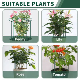 SYITCUN peony cages support roses, peonies, hydrangeas, tomatoes, cucumbers, and more.