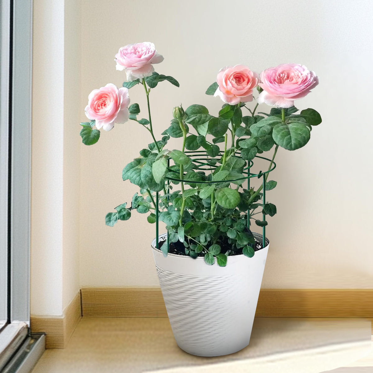 SYITCUN weather-ready cage protects plants through varying conditions with reliable durability.