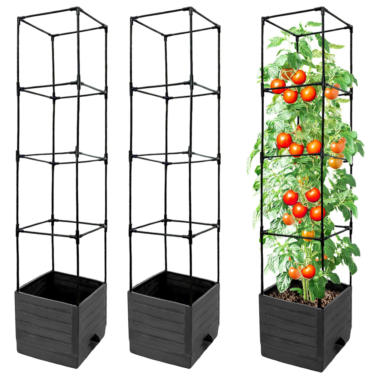 SYITCUN tomato planter with trellis showing tall vines and sturdy support.