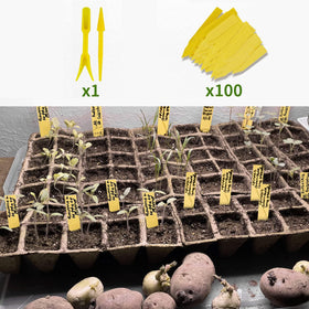 SYITCUN seed starter trays ideal for vegetables, herbs, and flowers
